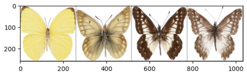 Papillons